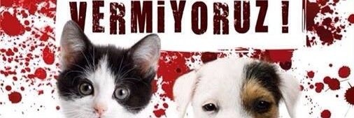 HayHakSav's profile banner image
