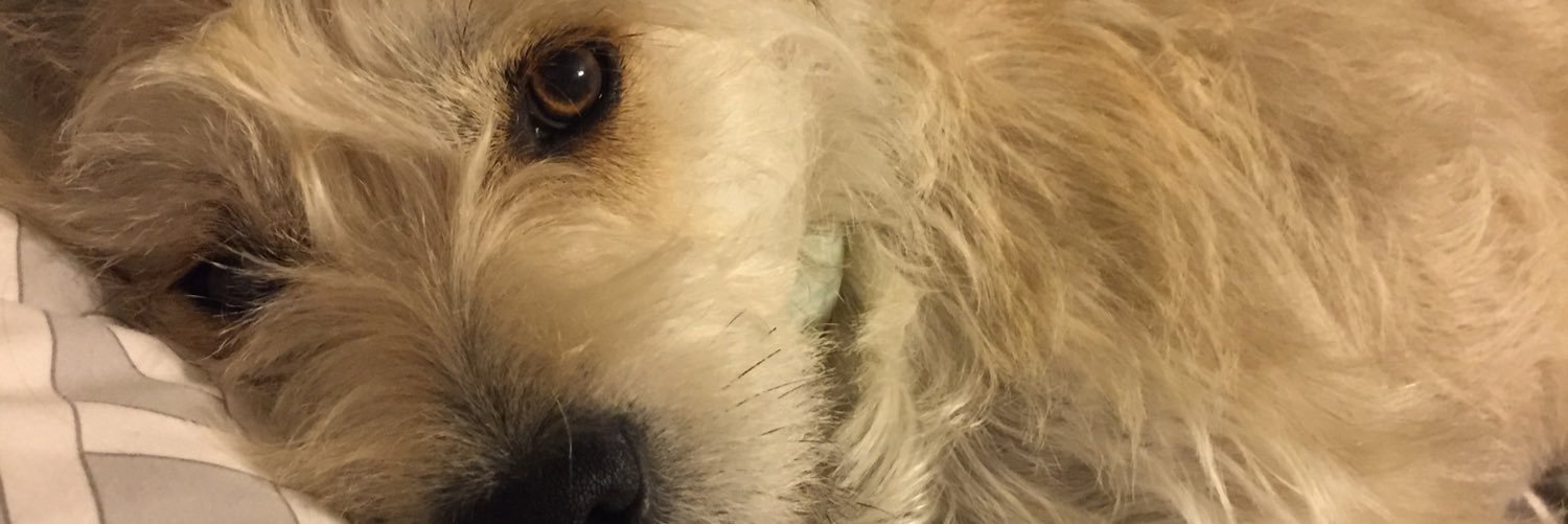 ItssJesss's profile banner image