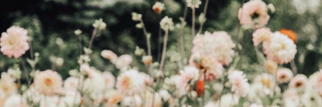 worry⭐️ banner