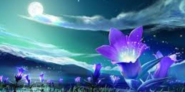 Ida_yudis's profile banner image