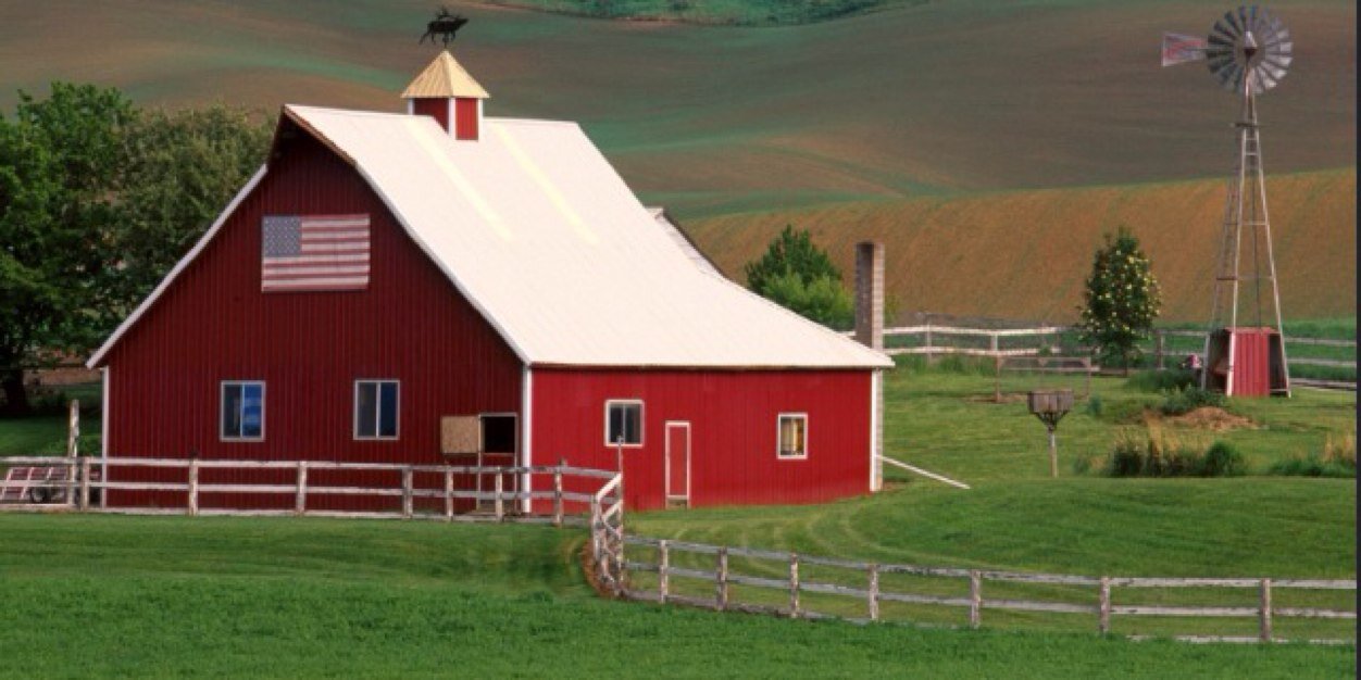 AFsheep's profile banner image
