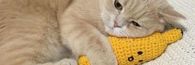rumifrst's profile banner image