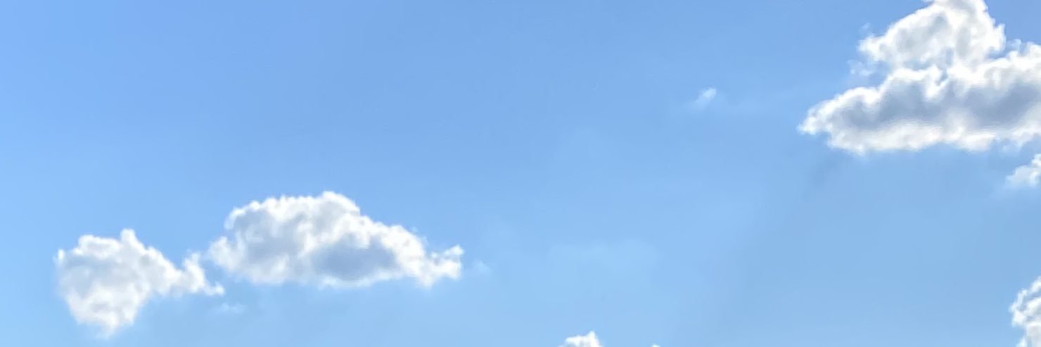 bby_tank's profile banner image