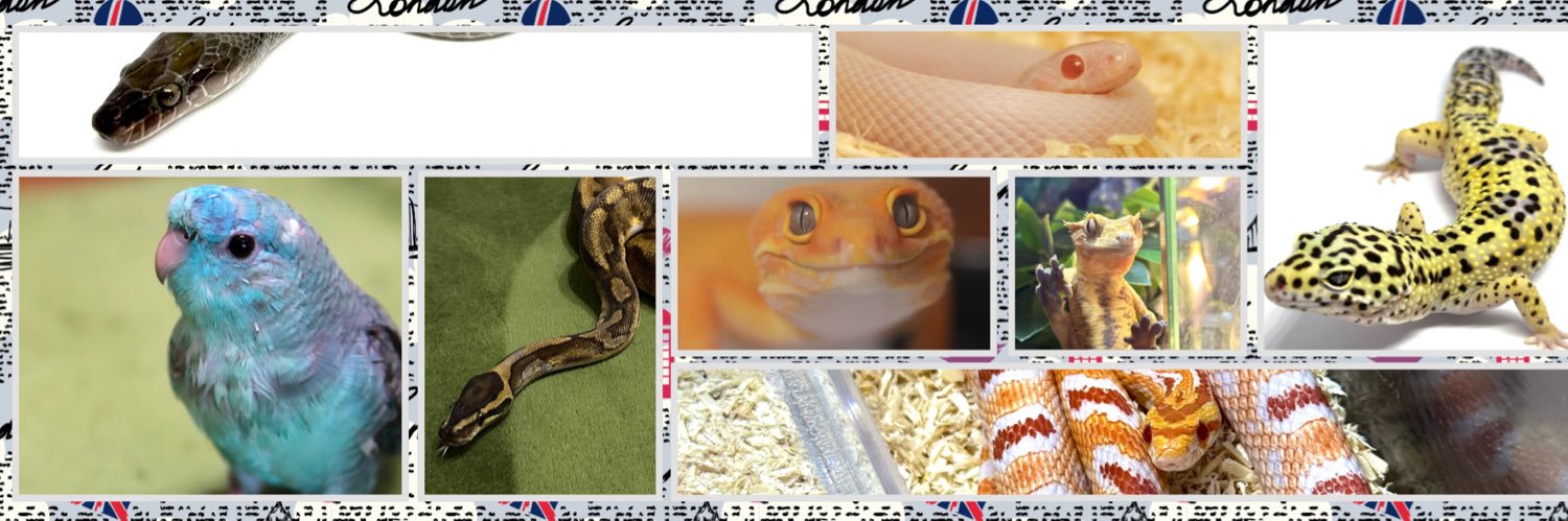 MickeySjk's profile banner image