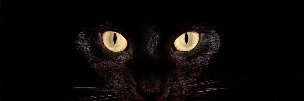 walexisbb's profile banner image