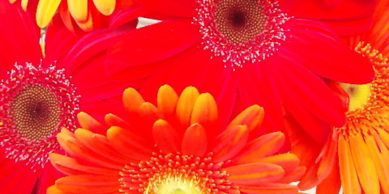 0615norihit's profile banner image