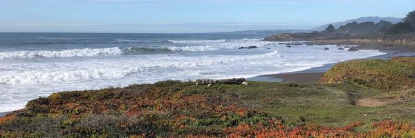 TheSheilster Profile Banner