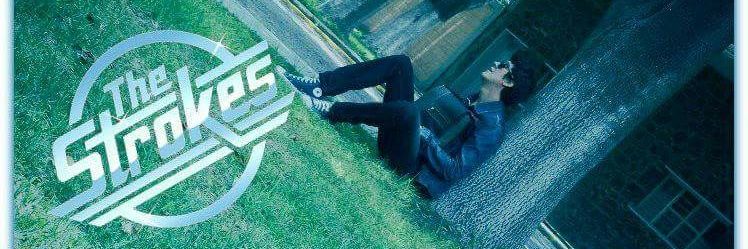 Hugo Valensi's banner