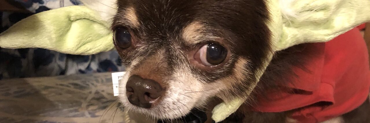 79910114jack's profile banner image