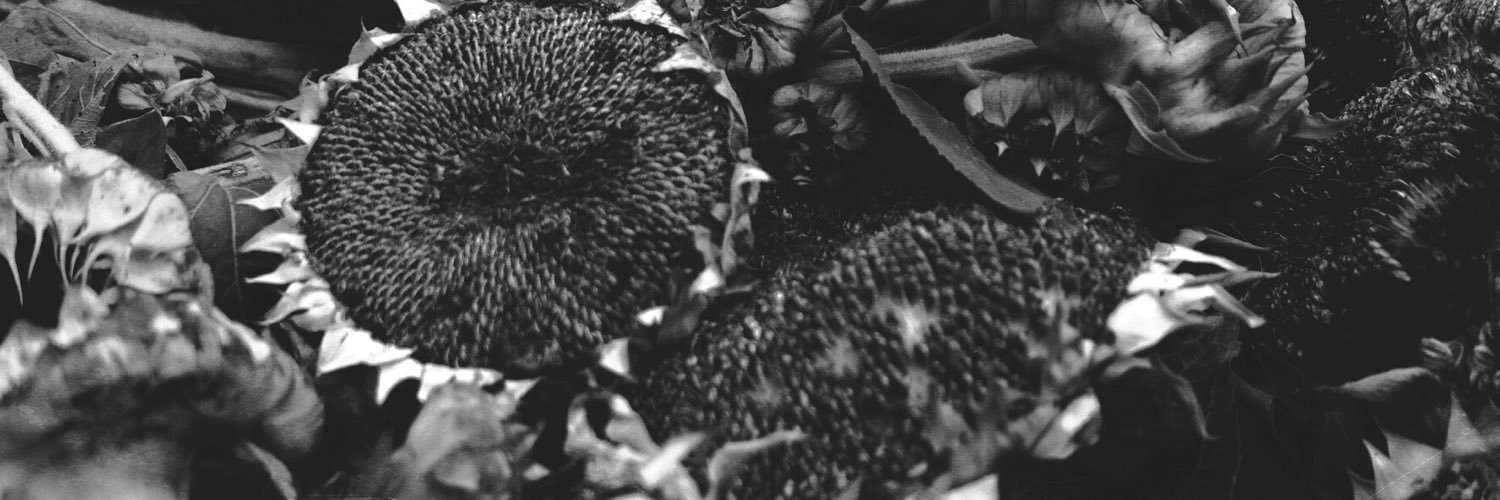 jayneguertin's profile banner image