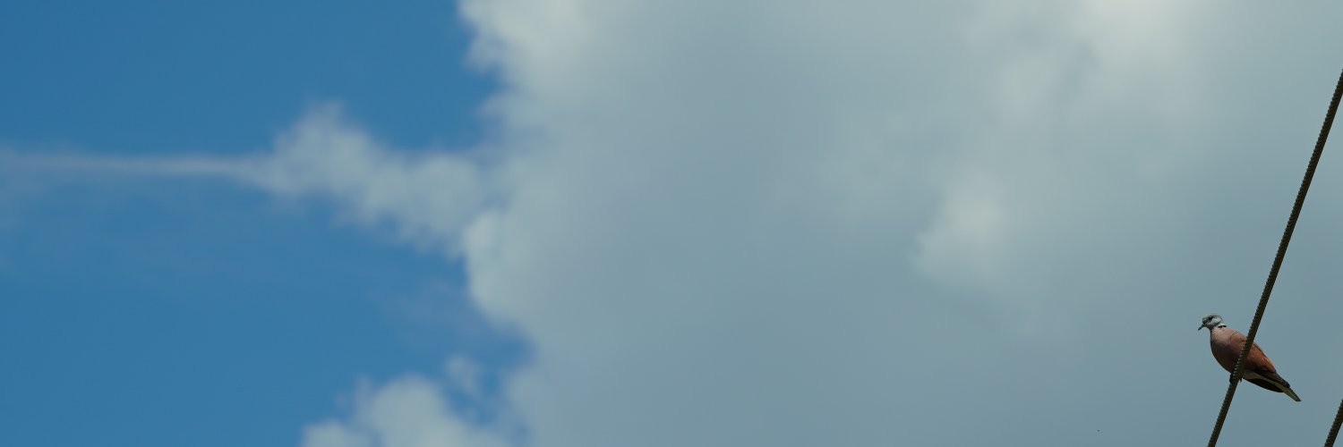 Roddy 𝕏 羅弟 banner