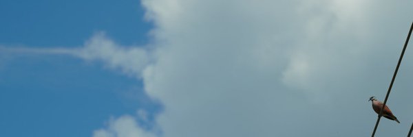 roddy0812 Profile Banner