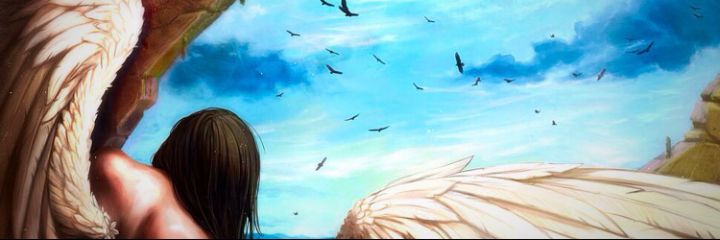 njorogevale's profile banner image