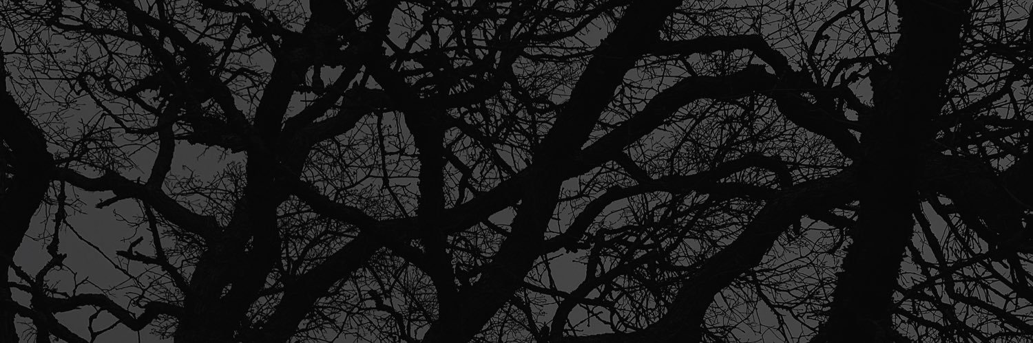 KaylaScibelli's profile banner image