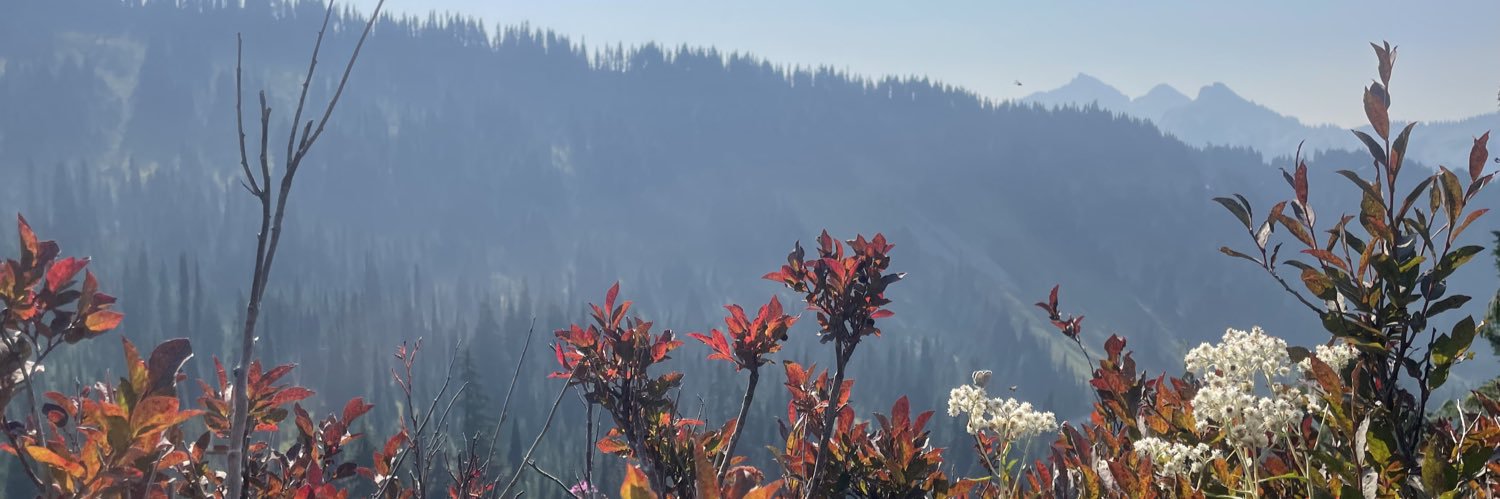 foxciders's profile banner image