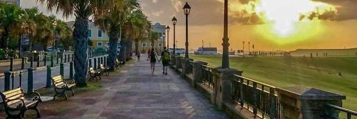 janny627's profile banner image