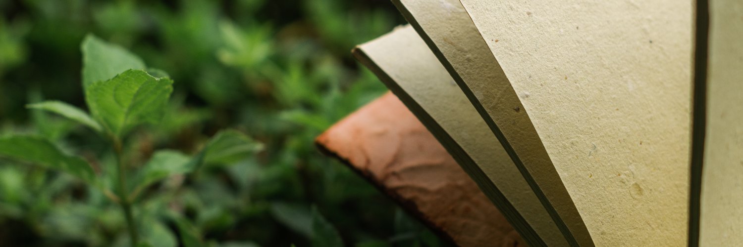 RaxusAnode's profile banner image