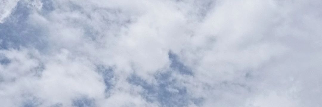 elis_juliaa's profile banner image