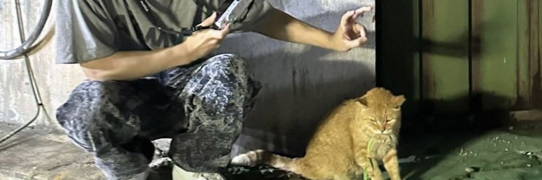 TamDollapack's profile banner image