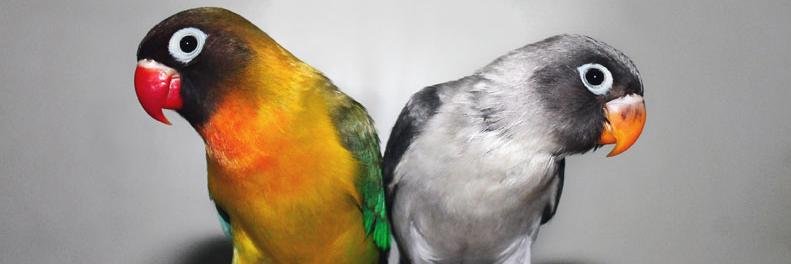 aldwinwin's profile banner image