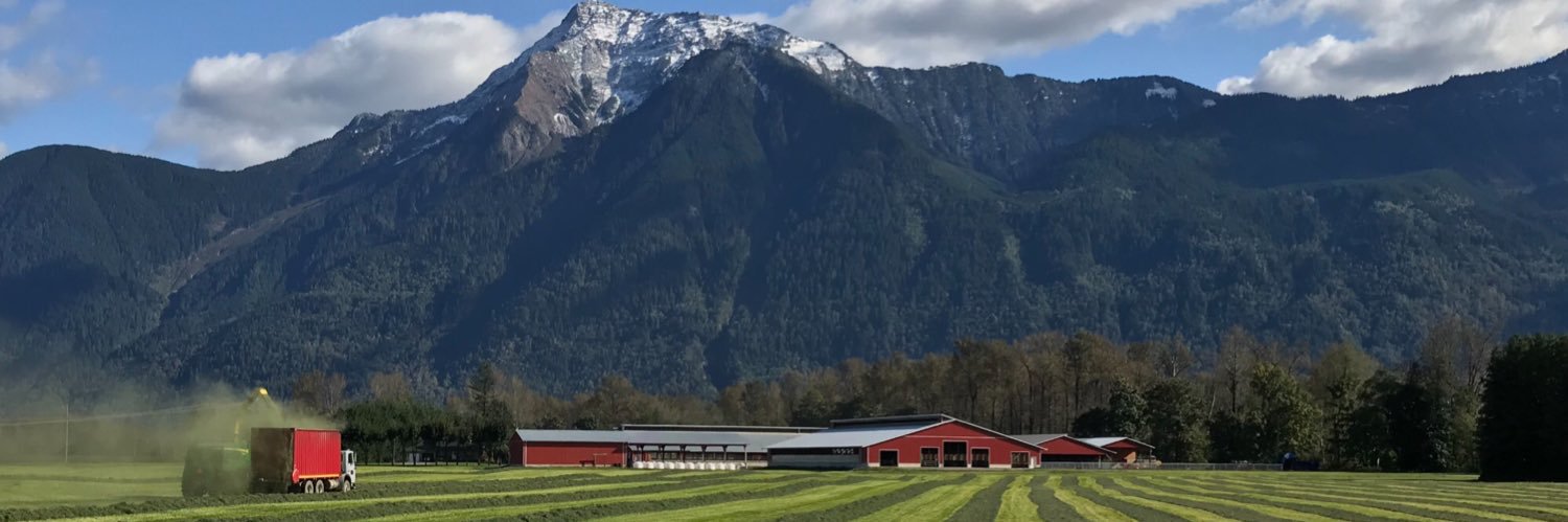 Tom Hoogendoorn banner