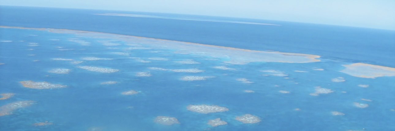 Dr Laura 👩‍🔬 banner