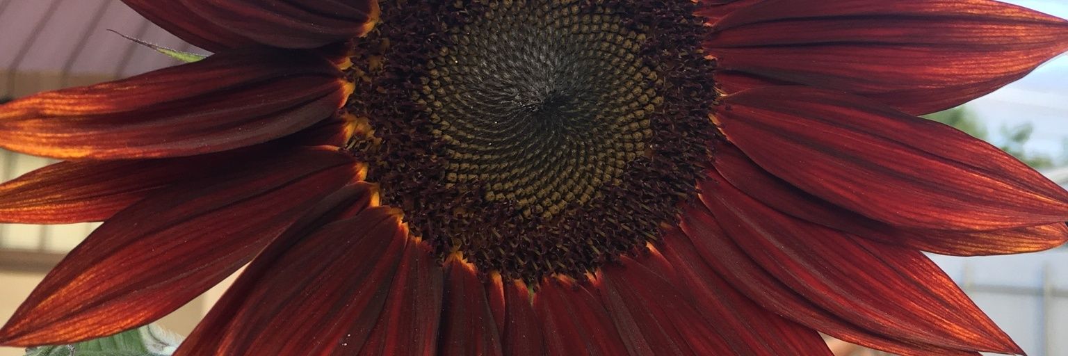Byline4Good's profile banner image