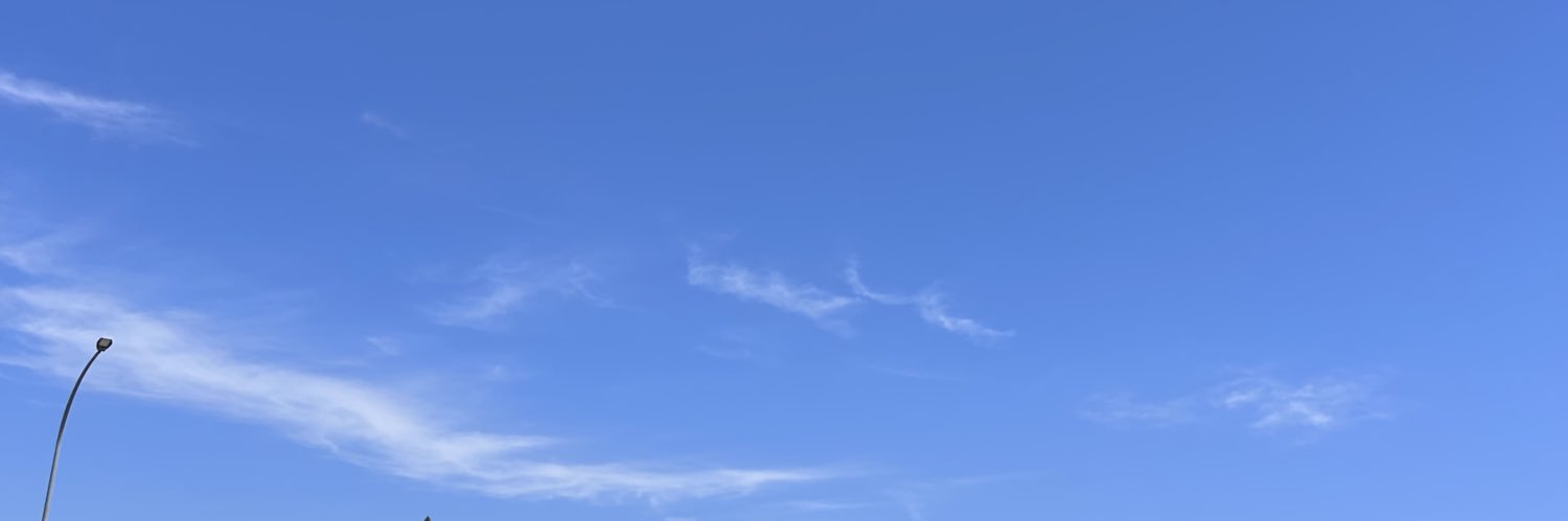 suruuuumeee's profile banner image