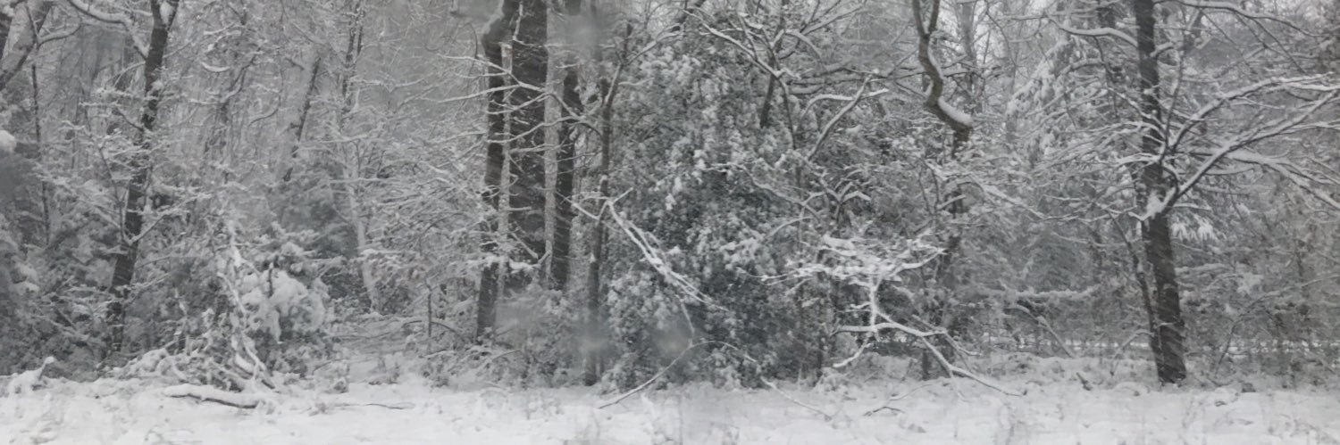 tysonbeck's profile banner image