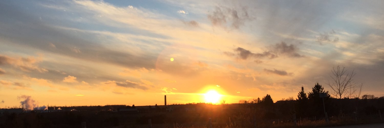 cherylbinstock's profile banner image