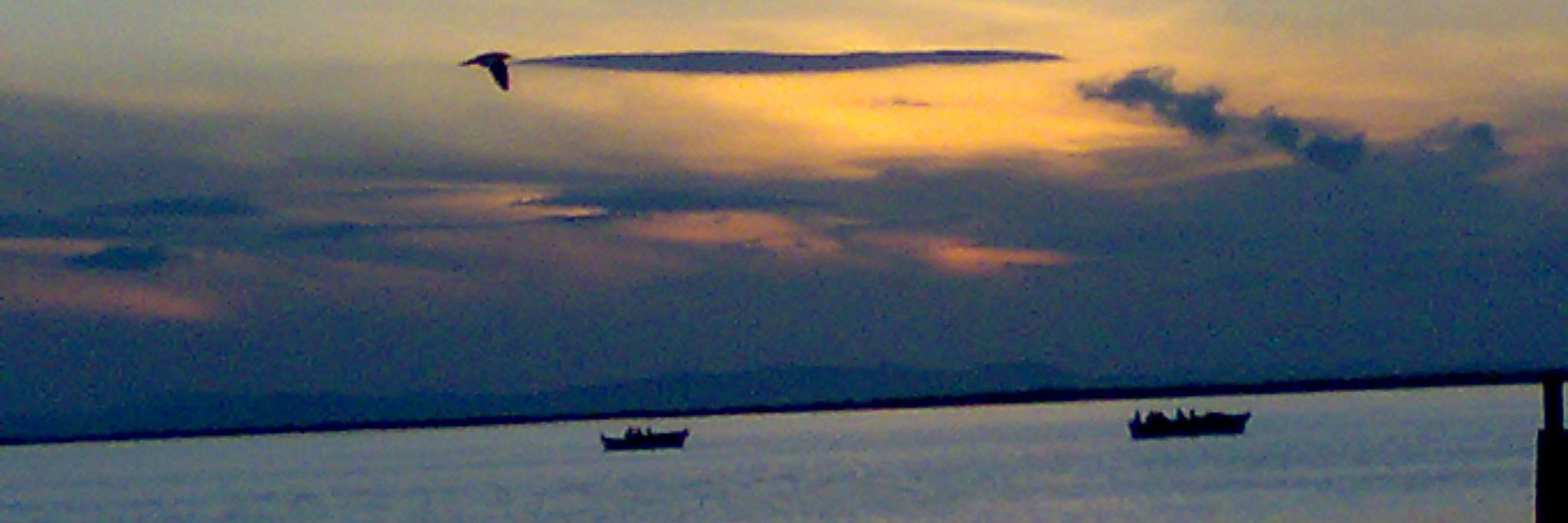 soaydemir's profile banner image