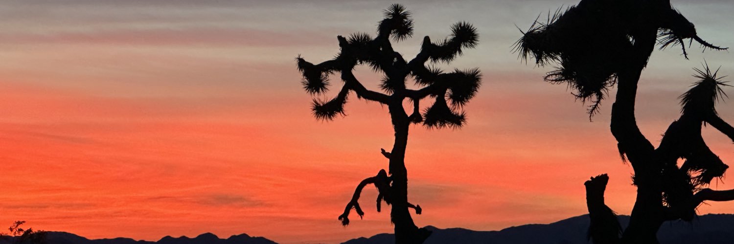 🇺🇦 Ayah 🇺🇦 banner