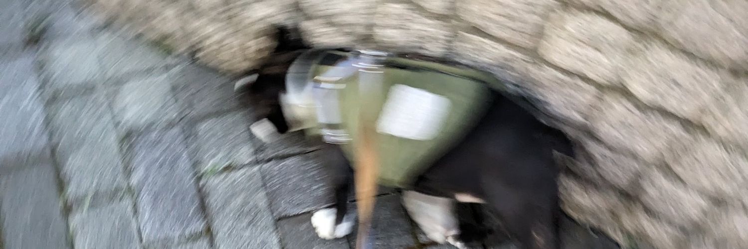 Ｋ(仮名)【ピエラー】 banner