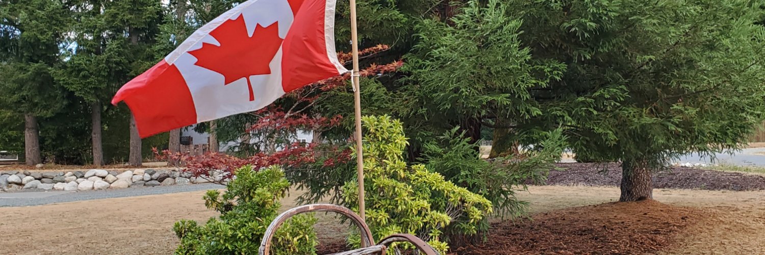 nahmint's profile banner image