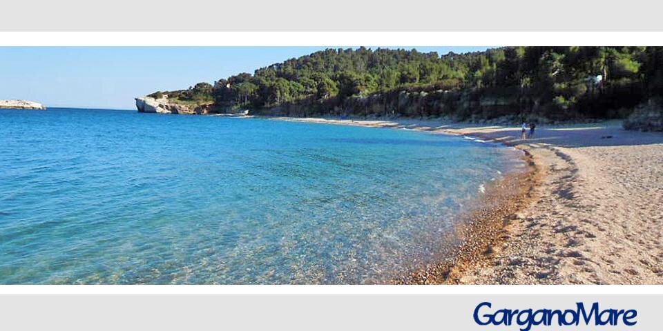 gargano_mare's profile banner image