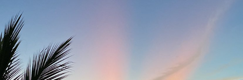 lorena_karolyna's profile banner image