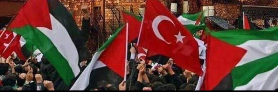 mkktatar's profile banner image