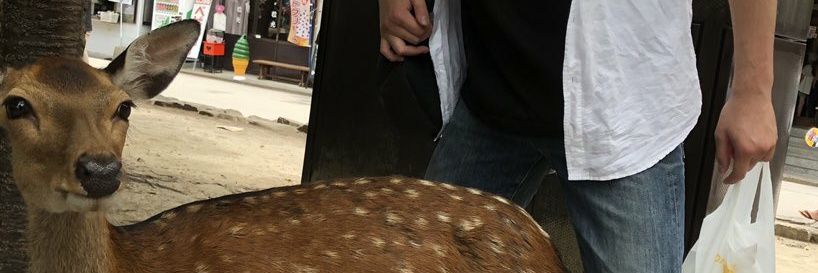 Rucyend89_97's profile banner image
