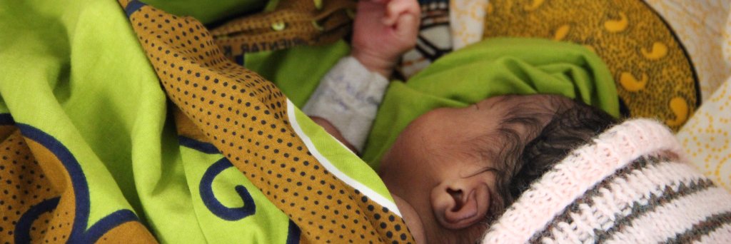 Rebecca Kortum banner