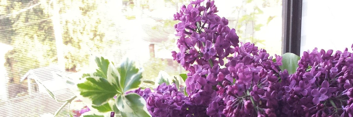 MarigoldsDriver's profile banner image