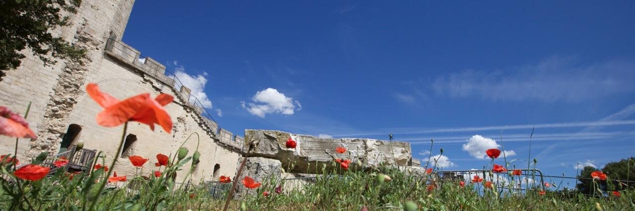 IMB_France's profile banner image