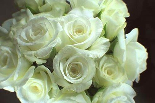 via banner