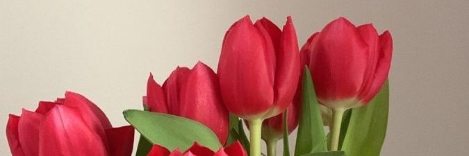 ellamaentary1's profile banner image