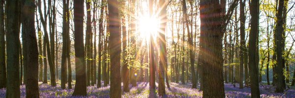 FayeJennifer_ Profile Banner