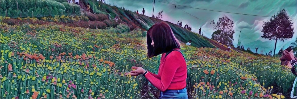 marielastuaa's profile banner image