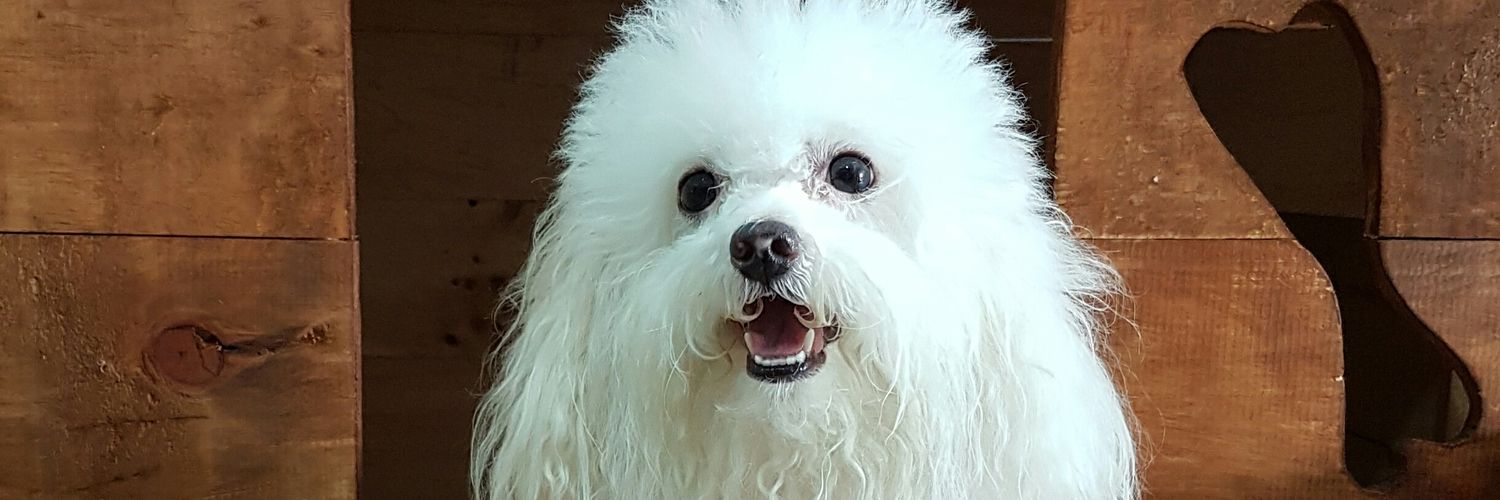 Mabe_T's profile banner image