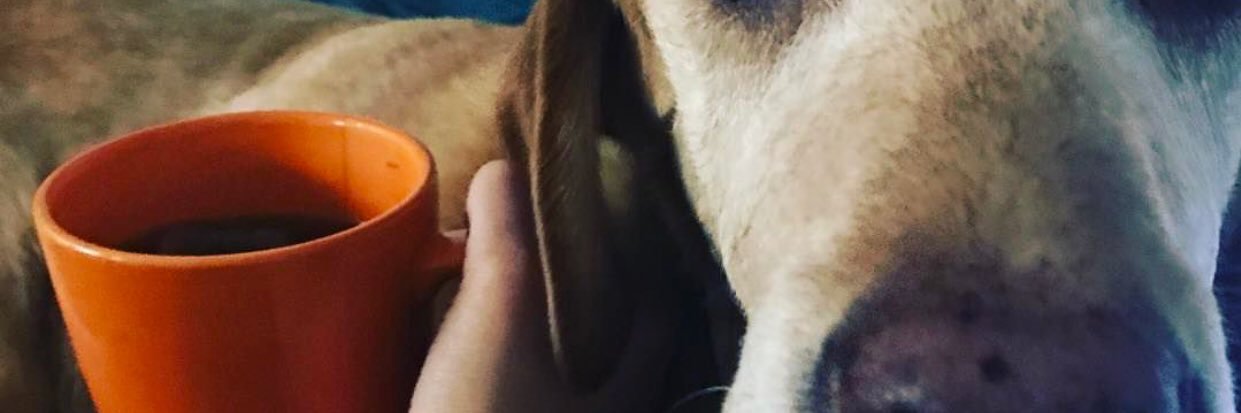 Sammi Robin banner