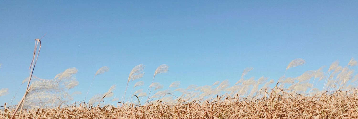 toomuch_RM's profile banner image