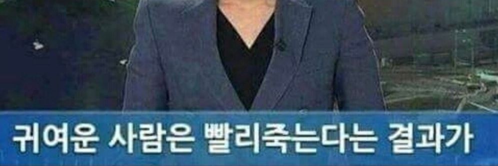 (하쿠나)키 루 banner