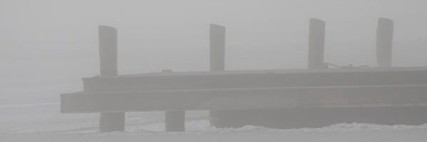 michelschmidt's profile banner image